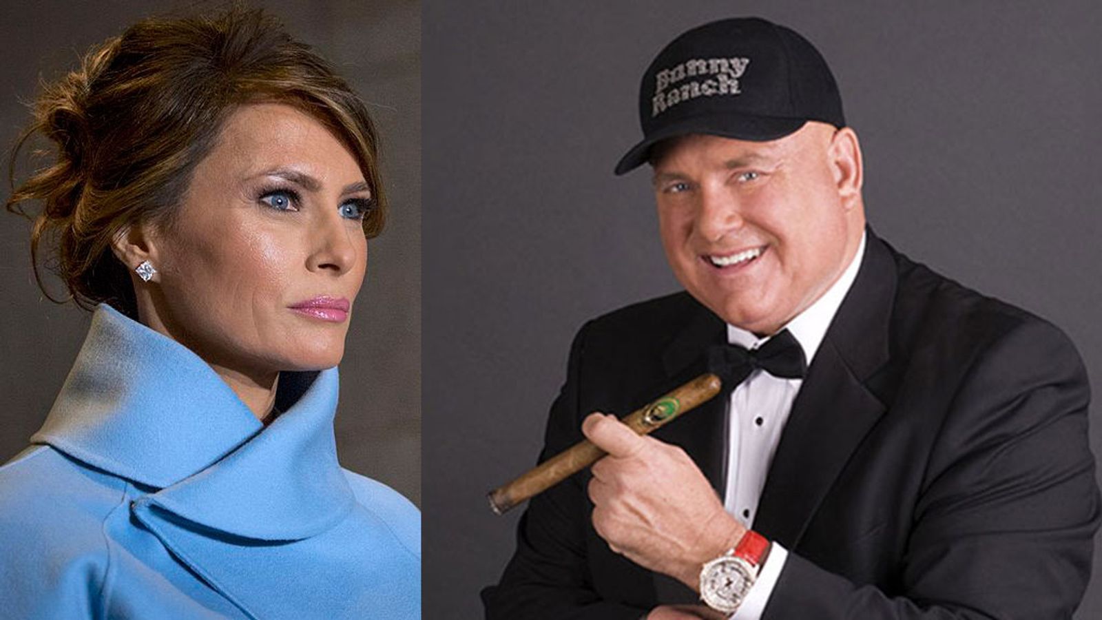 Hof Offers Free Sex For Life For Proof Melania Trump Was Ever A Prostitute photo picture photo