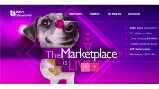 BitterStrawberry Launches New Marketplace