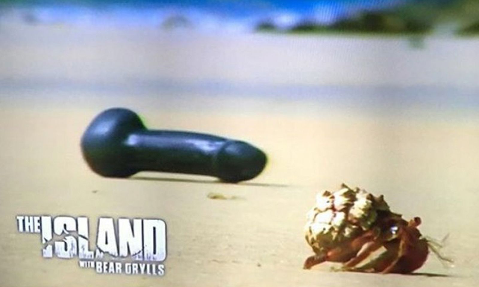 Dildo Makes Guest Appearance on ‘The Island With Bear Grylls’