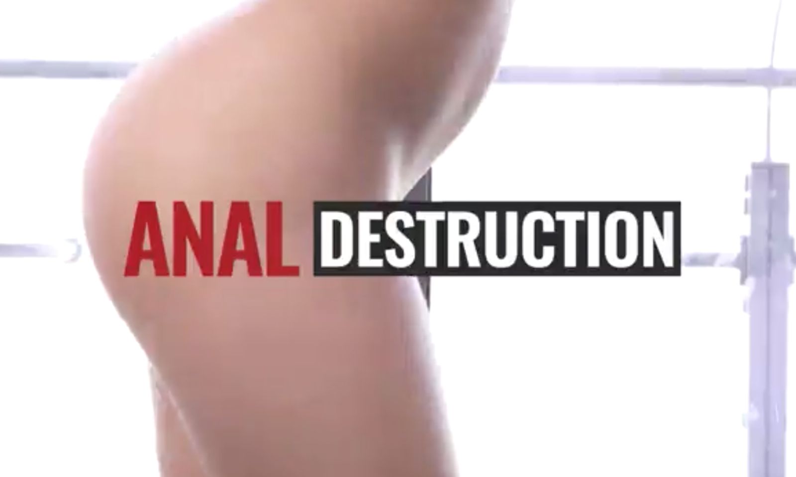 Analized.com Unleashes 'Anal Destruction'