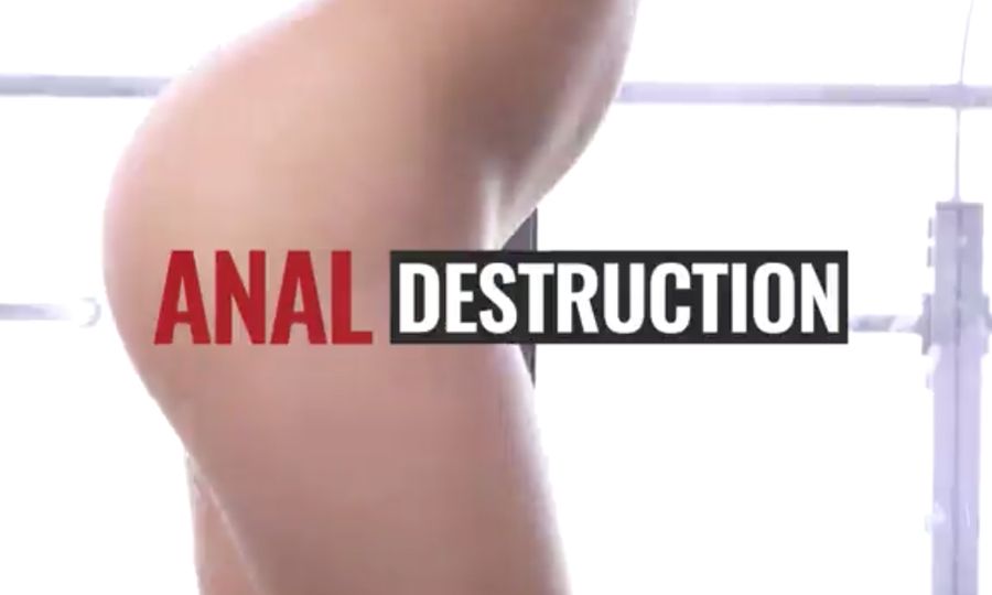 Analized.com Unleashes 'Anal Destruction'