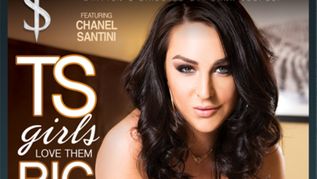 TransSensual Unveils ‘TS Girls Love Them Big'