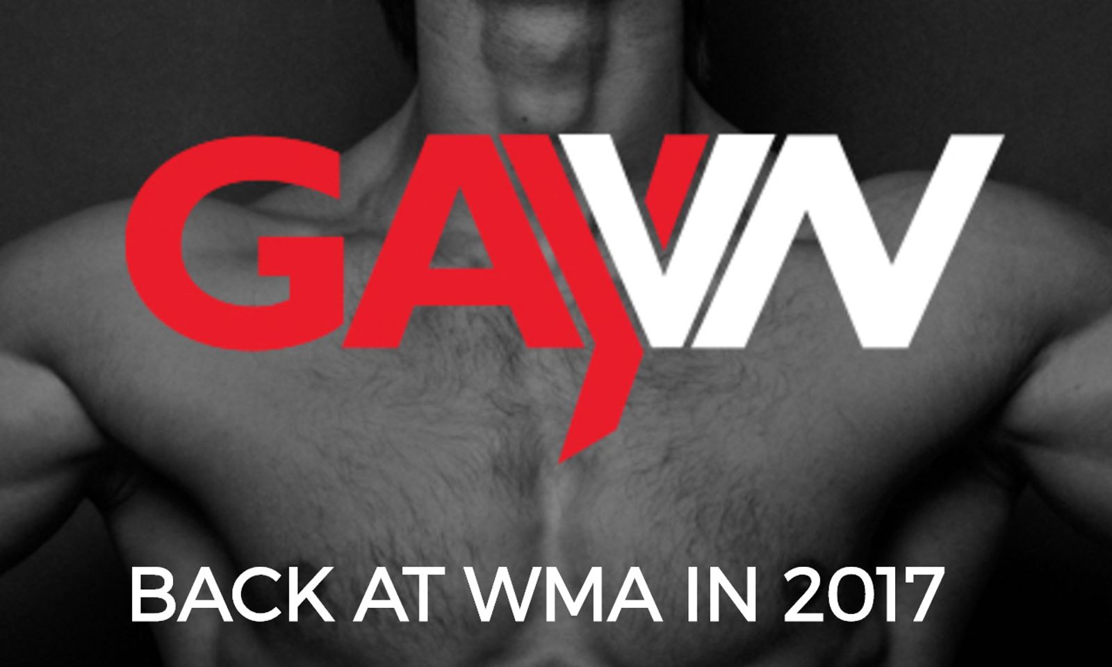 Webmaster Access Announces GAYVN Seminar, Happy Hour