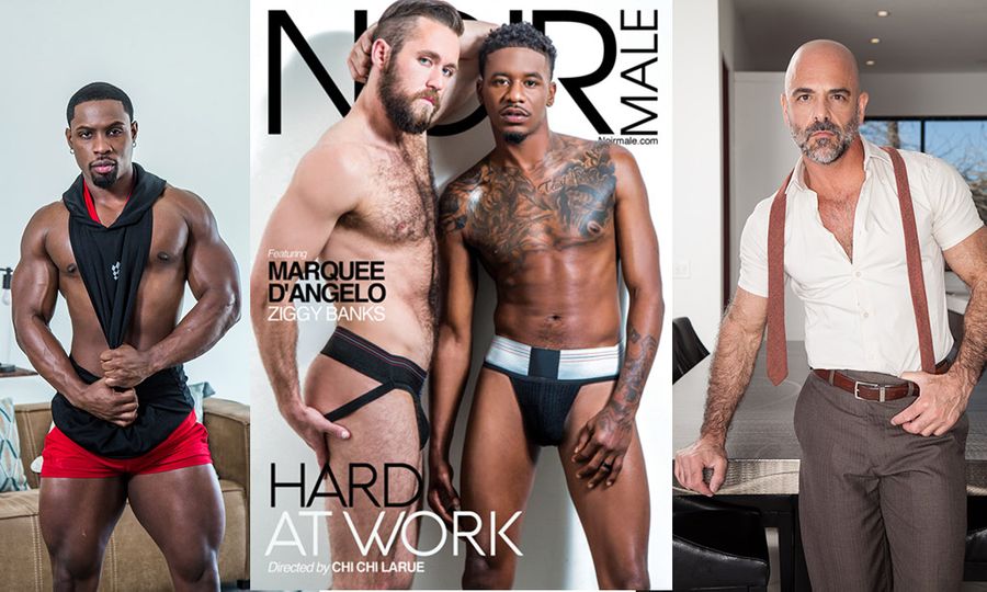 Noir Male Releases 3rd Feature, Chi Chi LaRue's ‘Hard At Work’
