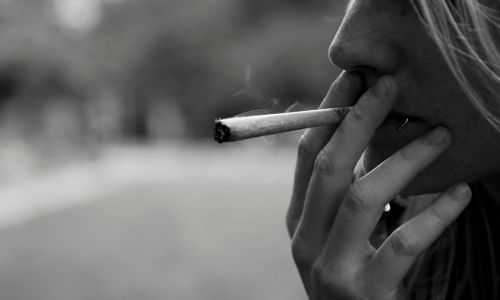 ‘Weed Porn’ Searches Spiked Dramatically as Canada Legalized Pot