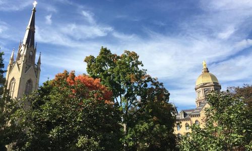 Notre Dame Men Want Online Porn Banned, Though 6 Of 10 Watch It