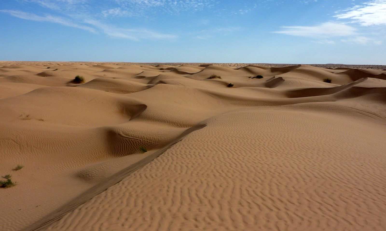 AI Algorithms Designed To Spot Nudes Mistake Desert Sand For Skin
