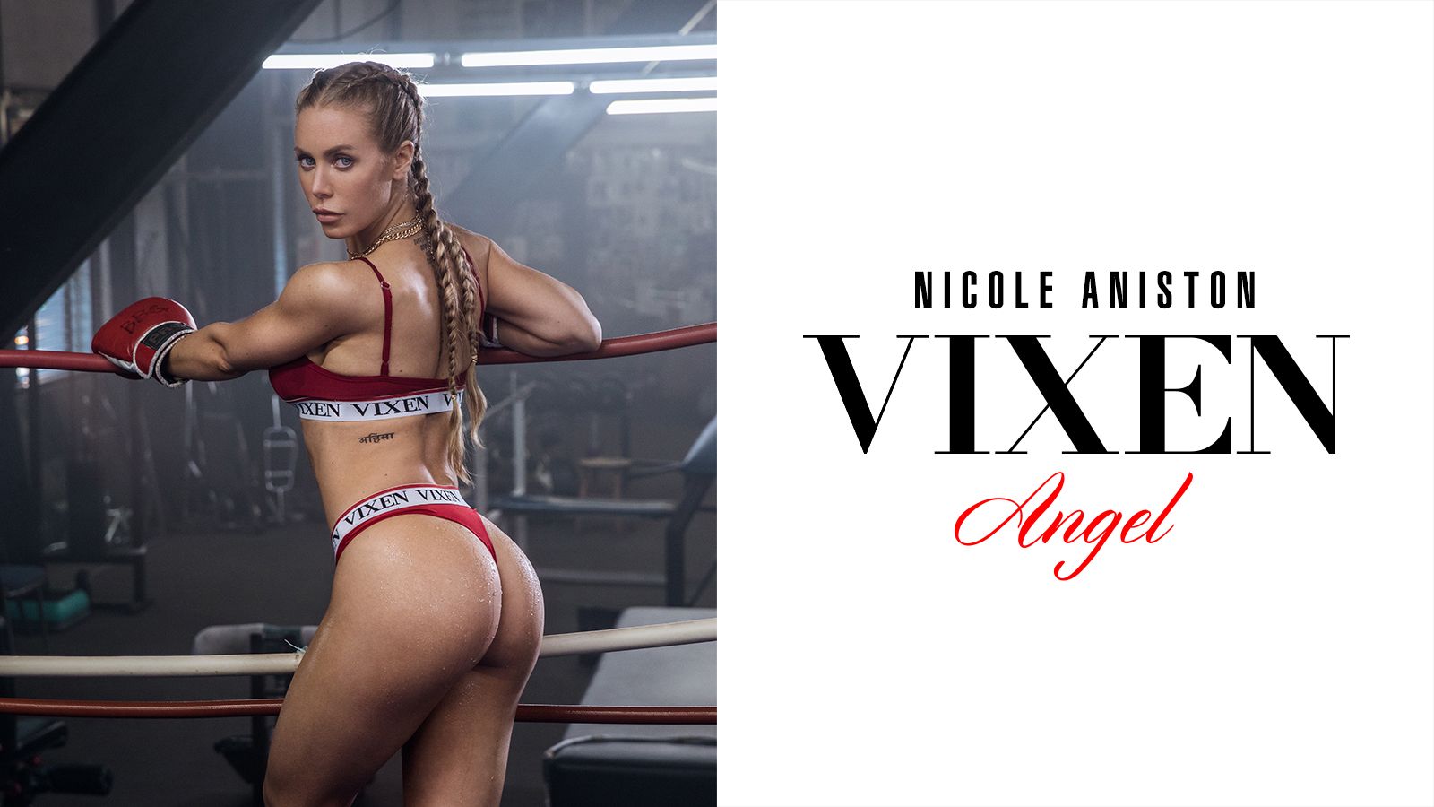 Nicole Aniston Chosen As The New Vixen Angel