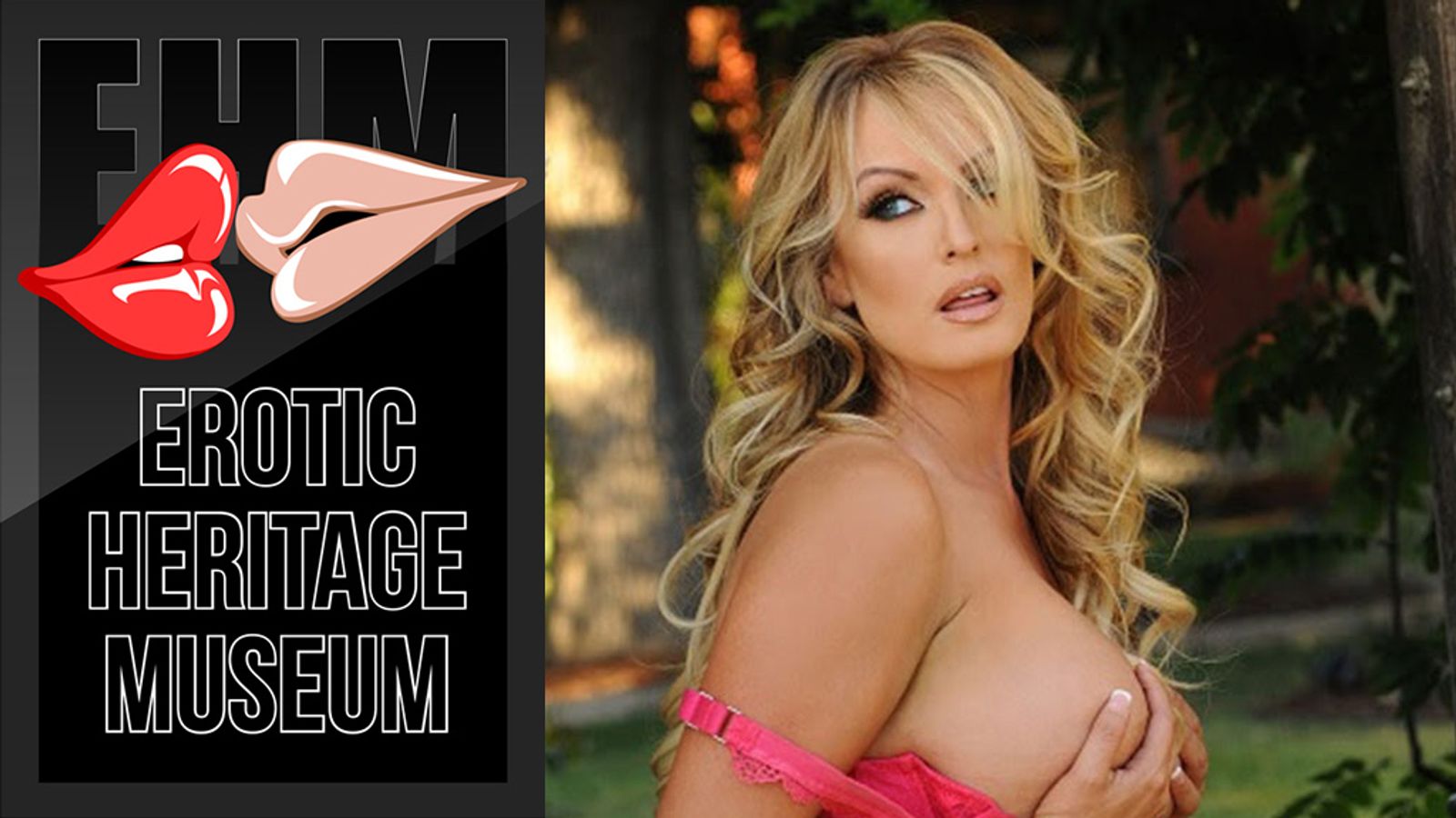 Erotic Heritage Museum Offers to Buy Stormy Daniels' Trump Dress