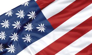 Hazy Future: What's Ahead for Legal Marijuana