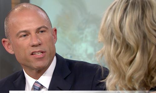 Lawyer Tells Megyn Kelly Stormy Can Describe Trump's Genitals