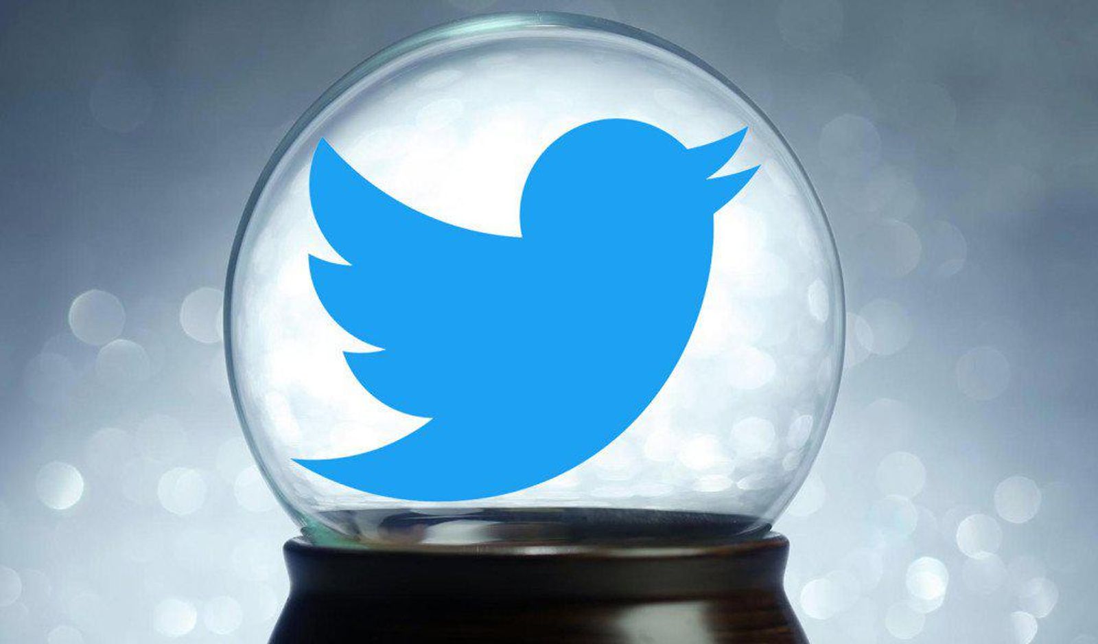 Twitter Initiates Mass Purge of Locked Accounts