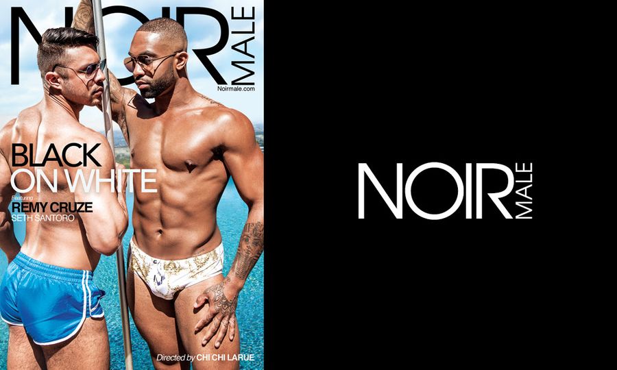 Chi Chi LaRue Teams With Mile High to Create New Studio Noir Male