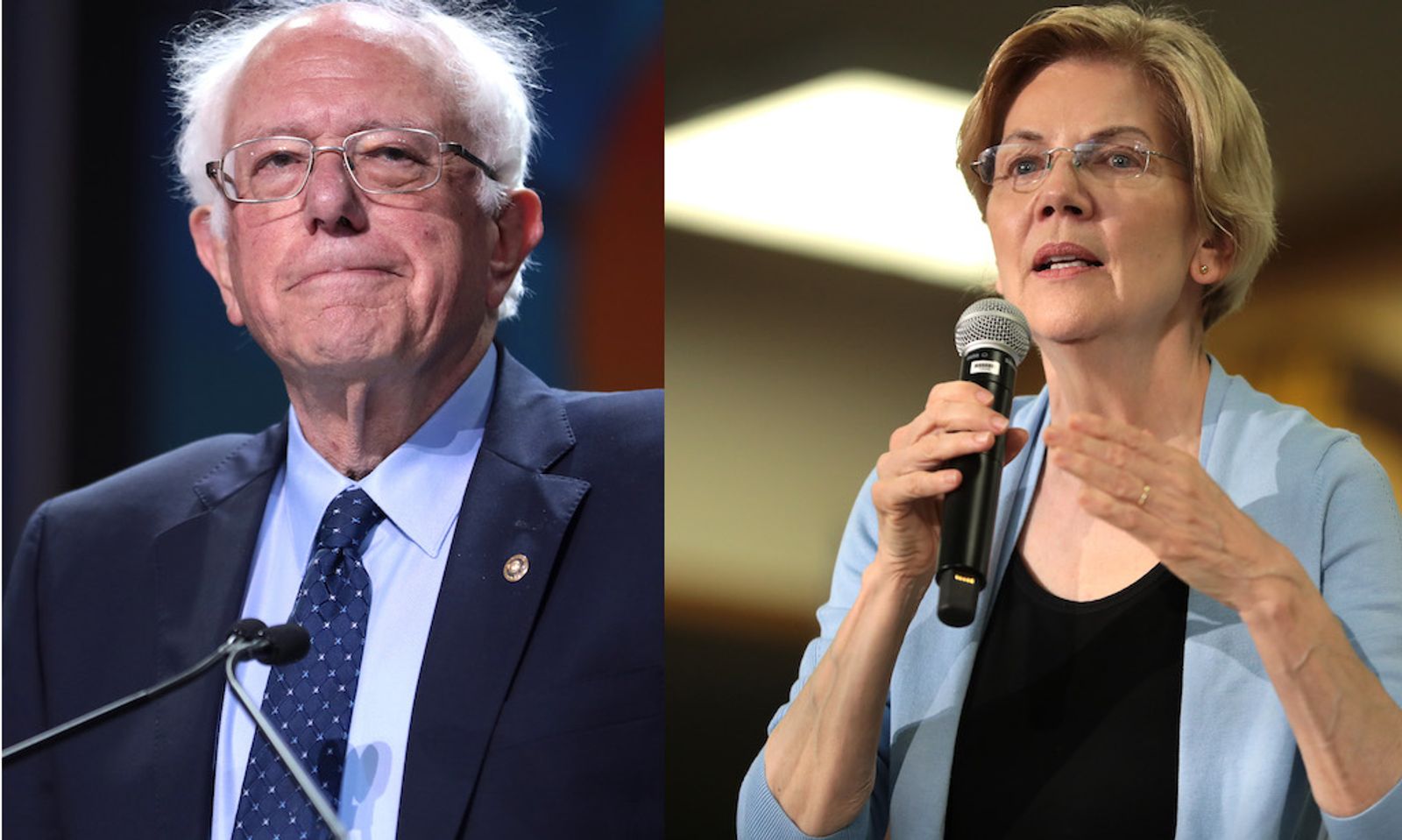 Sanders, Warren Back Bill That Could Lead To FOSTA/SESTA Repeal