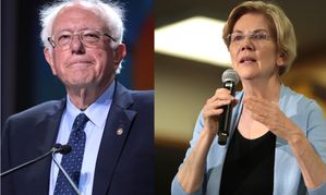 Sanders, Warren Back Bill That Could Lead To FOSTA/SESTA Repeal