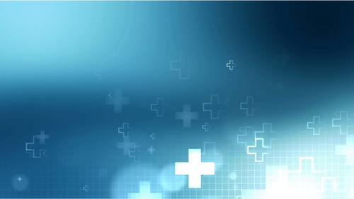 Two Models Test Positive for Syphilis in Czech Republic