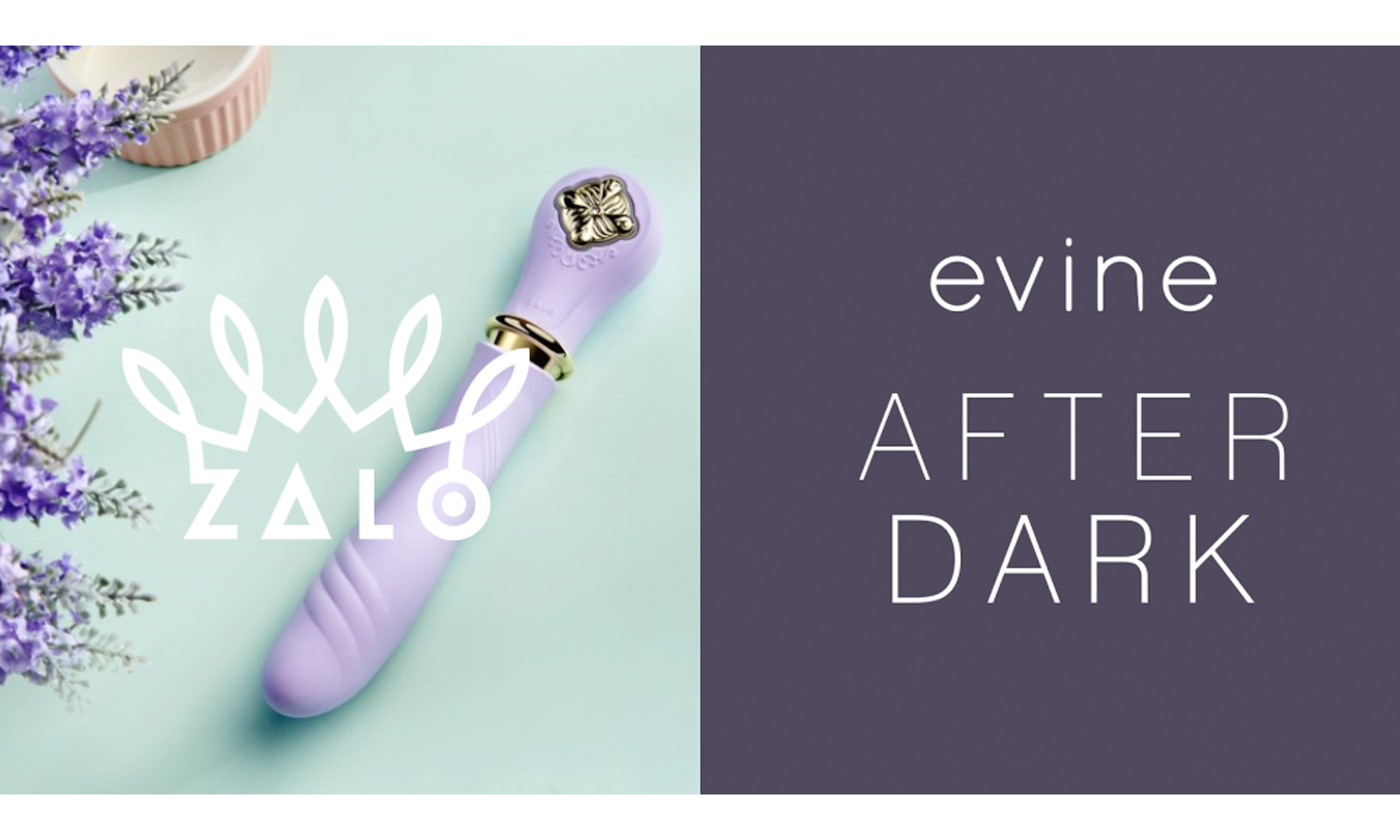 Zalo USA Again Appearing on ‘Evine After Dark’