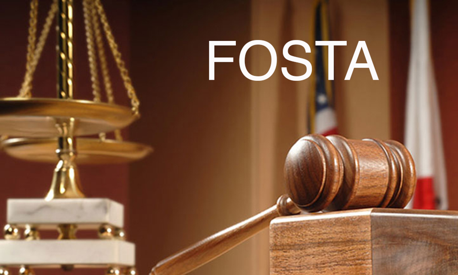 Woodhull, Others Appeal District Court Dismissal of FOSTA Lawsuit