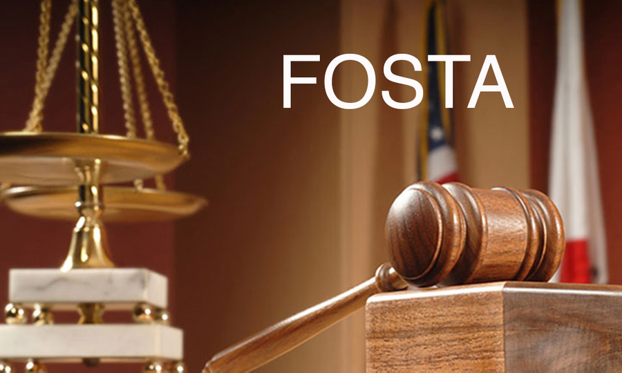 Woodhull, Others Appeal District Court Dismissal of FOSTA Lawsuit
