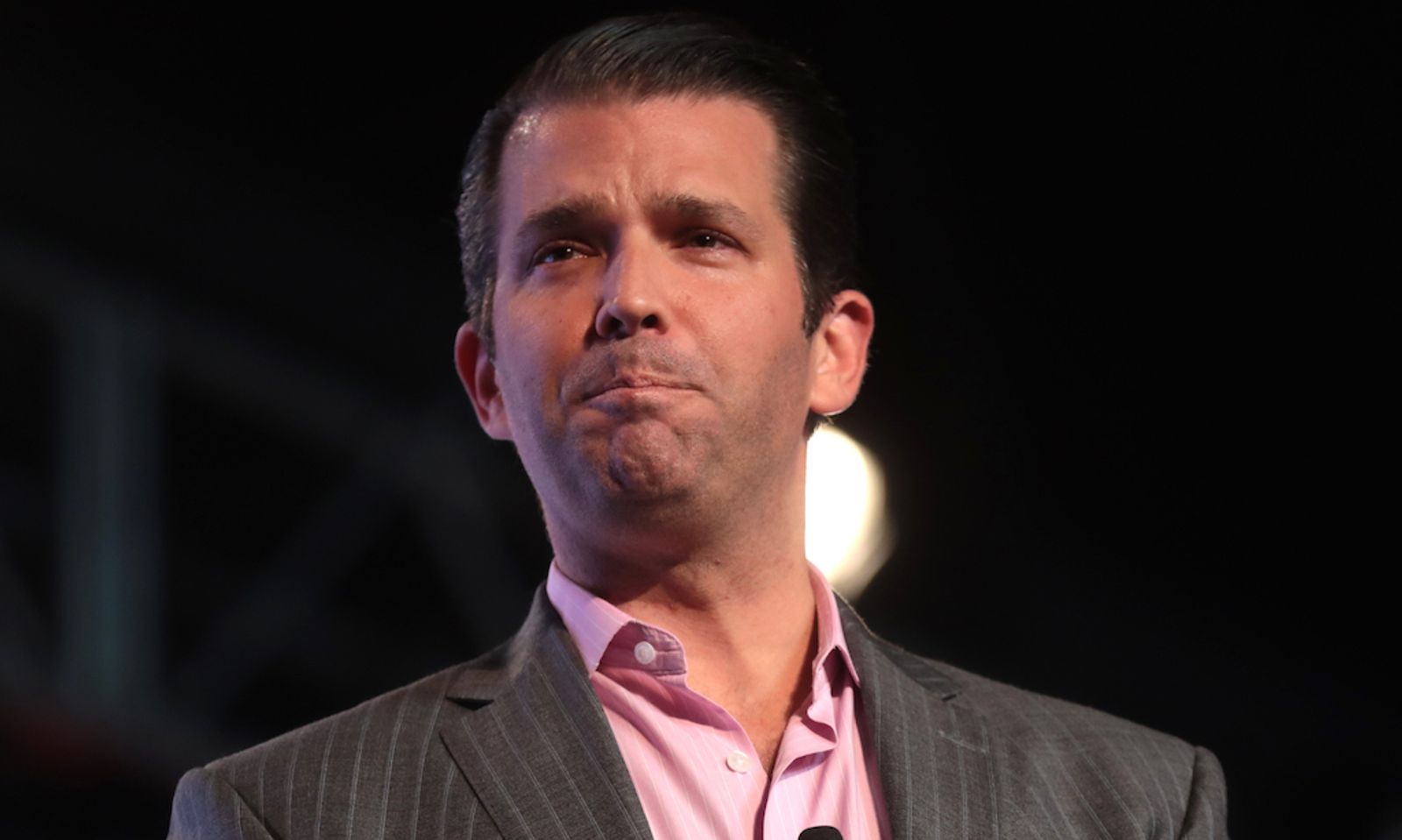 Cohen: Donald Trump Jr. Part of Stormy Daniels Payoff Cover-Up