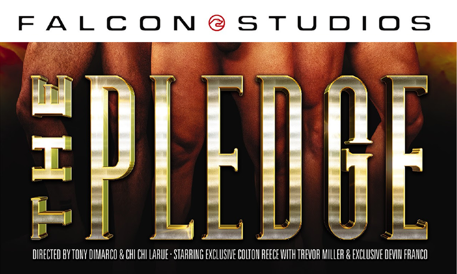 Falcon Continues Its Study of Fraternities in 'The Pledge' on DVD