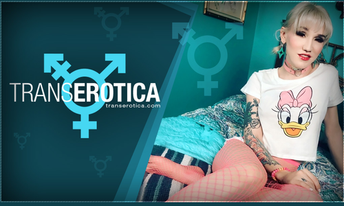 TransErotica Unboxes New 'Trans Confessions' Series