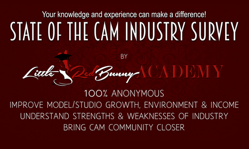 LittleRedBunny Launches 1st Global Survey of Webcam Industry
