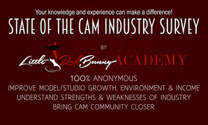 LittleRedBunny Launches 1st Global Survey of Webcam Industry