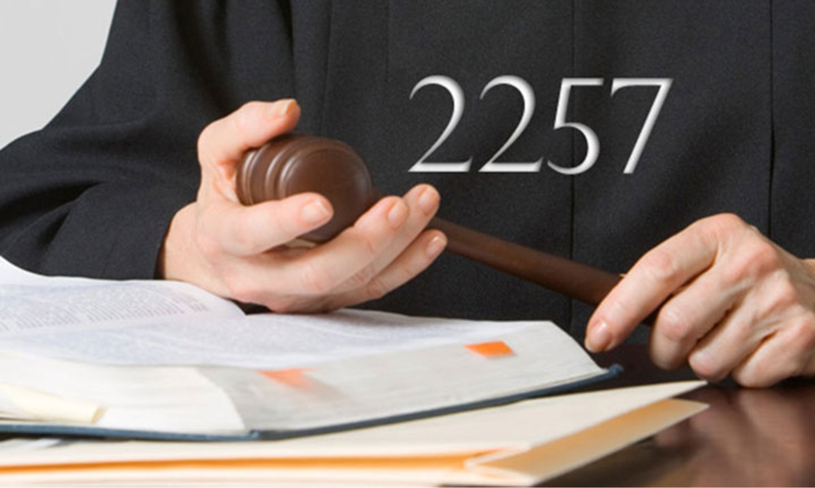 Free Speech Attorneys File Response Proof Brief in 2257 Case