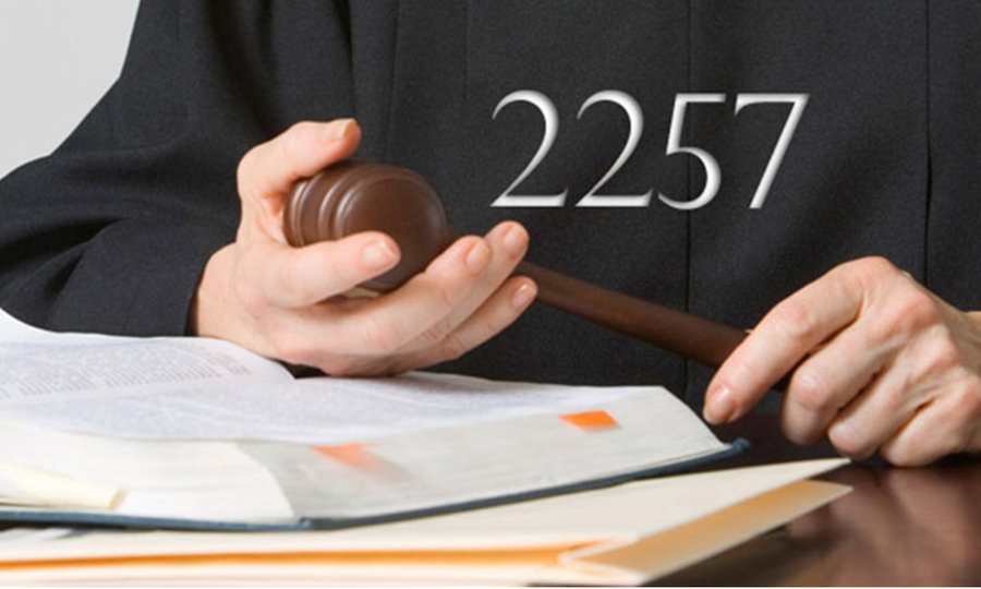 Free Speech Attorneys File Response Proof Brief in 2257 Case