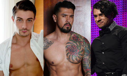 ‘Boy Culture’ Blog Compiles List of 250 Greatest Gay Porn Stars