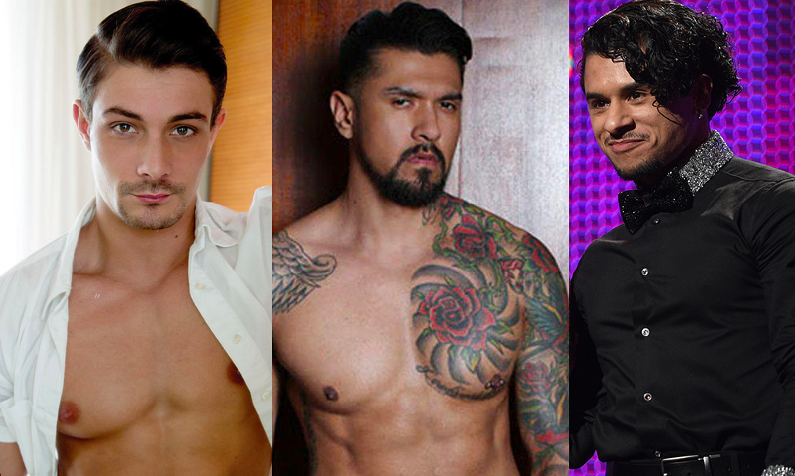 Sexiest Gay Porn Stars - Boy Culture' Blog Compiles List of 250 Greatest Gay Porn Stars | AVN