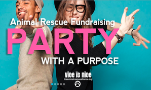 The 2019 Vice Is Nice Event Is Less Than 10 Days Away