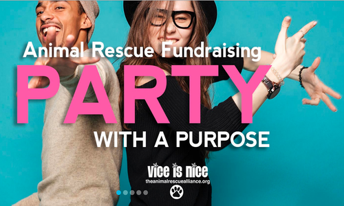 The 2019 Vice Is Nice Event Is Less Than 10 Days Away