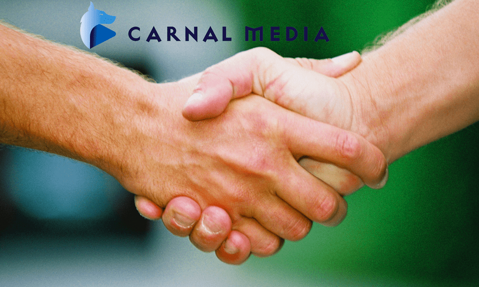 Tech Expert Deniz Bilgin Hired by Carnal Media