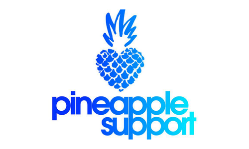Pineapple Support Offers 8-Week Course on Managing Stress, More