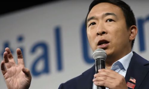 Andrew Yang Declares ‘Rampant’ Access to Porn ‘A Real Problem’