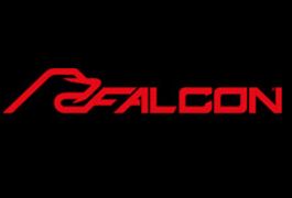 Falcon Studios's 40th Anniversary Party and Raging Stallion's 10th Annual VIP Party