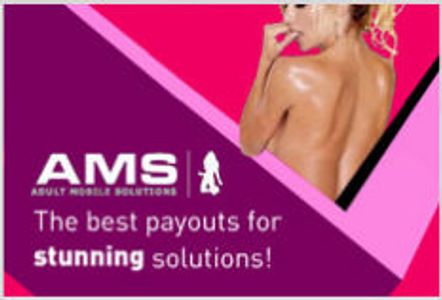 AMS Payment Platform Updated