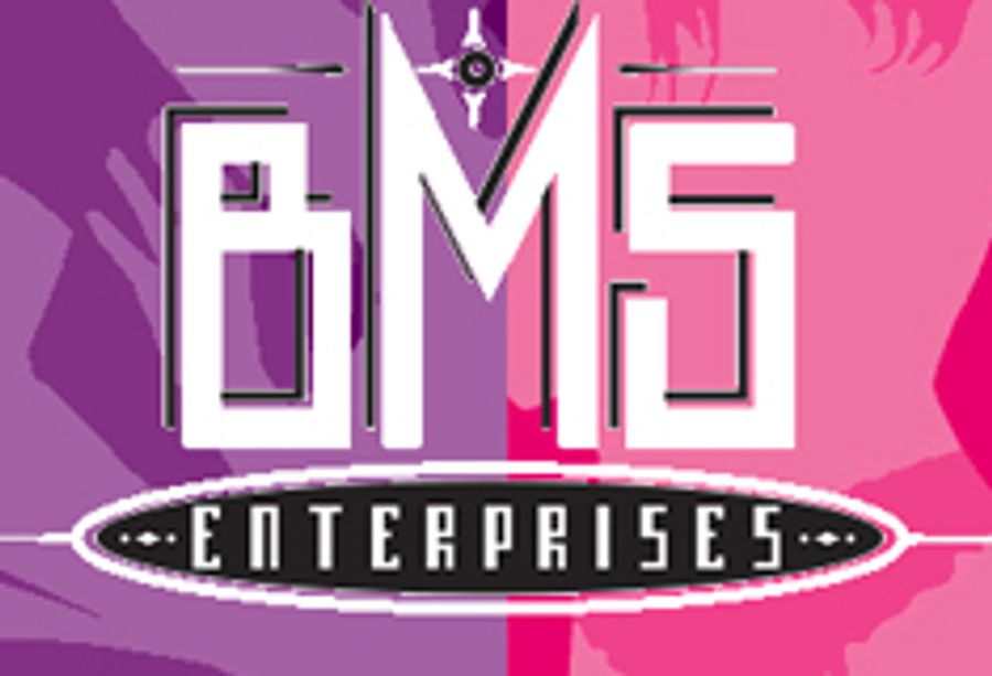 PROFILE: BMS Enterprises - "When You Want Something Done Right"