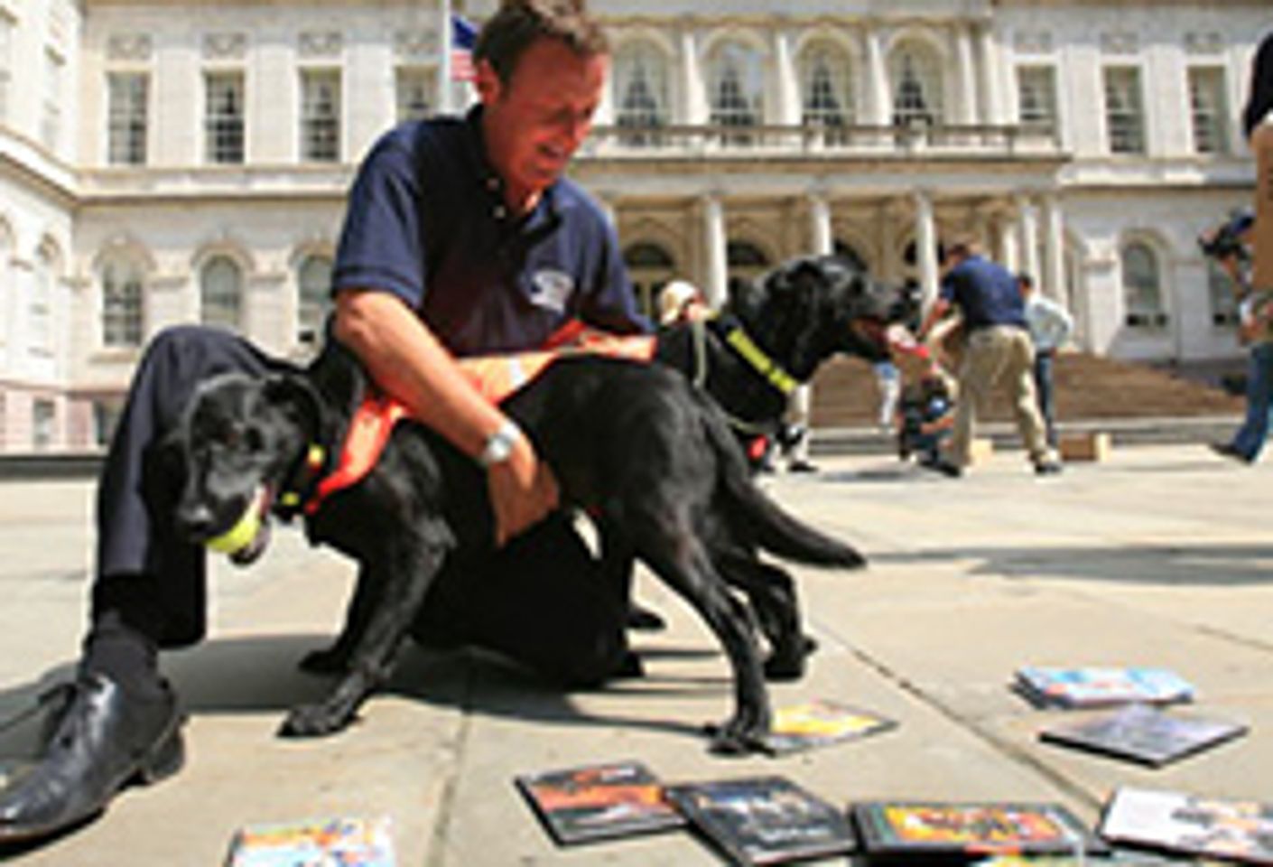 Dogs vs. Pirates: Black Labs Sniff Out DVDs