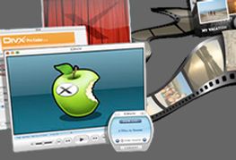 VCX Brings Adult Classics to DivX