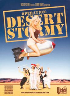 OPERATION DESERT STORMY (3 DISCS)