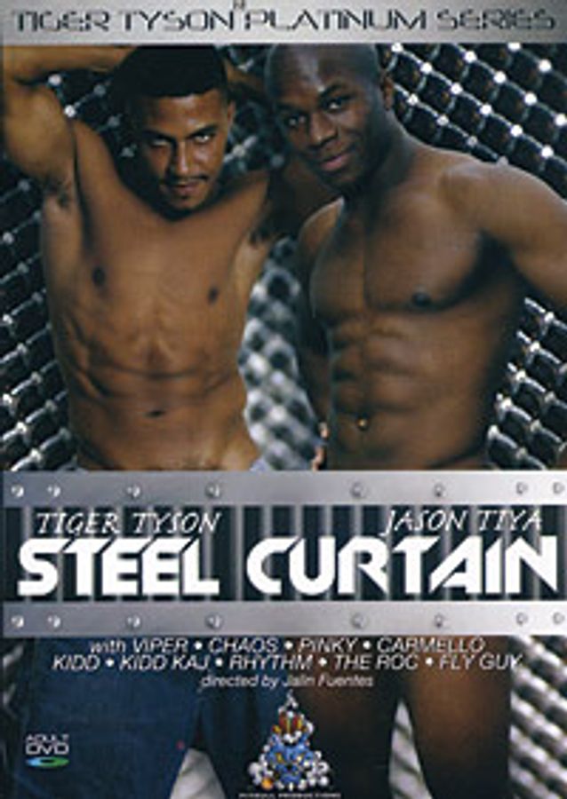 STEEL CURTAIN