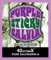 Purple Sticky Salvia 40 Atomix