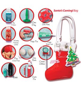 Santa’s Coming Bag