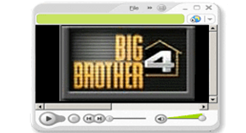 <I>Big Brother 4</I>: <I>BB4</I> Net Feed Showed Live Sex Act