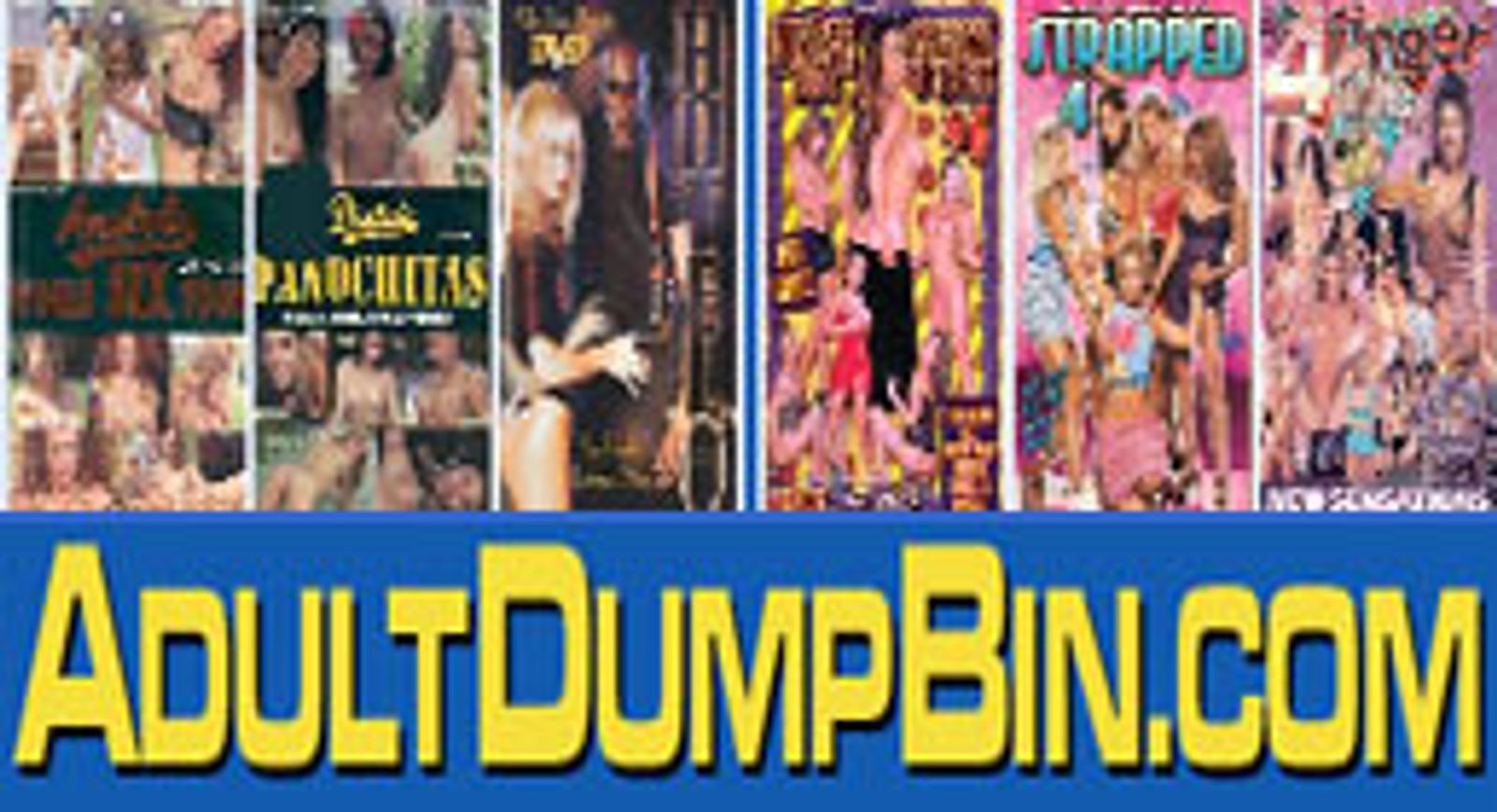 Website Allegedly Selling Pirated DVDs
