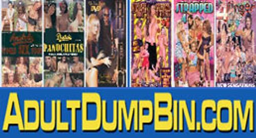 Website Allegedly Selling Pirated DVDs