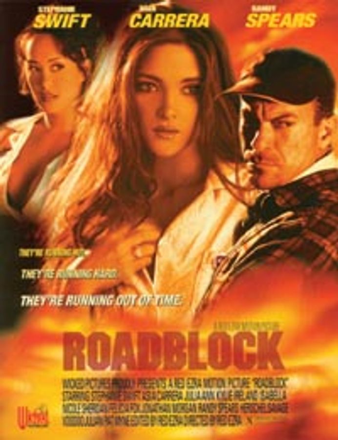 Roadblock